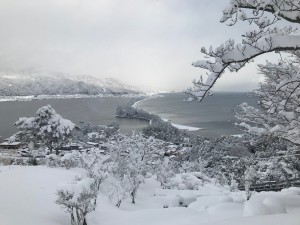 image1